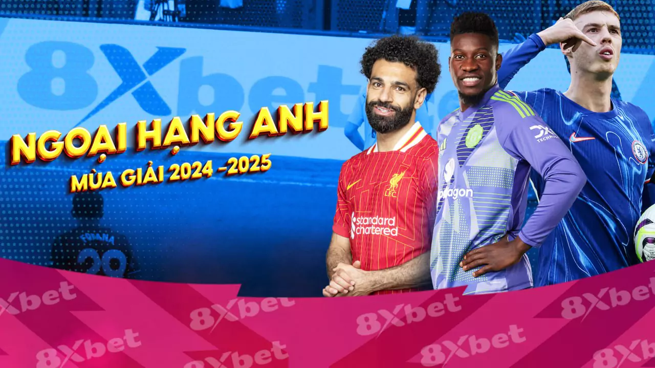 8xbet International